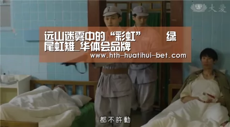 华体会官网