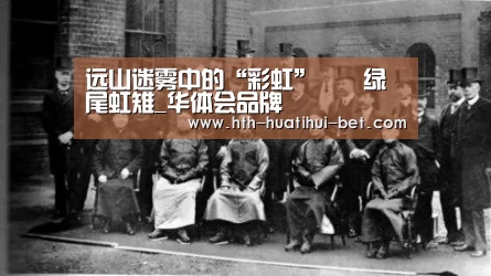 华体会体验